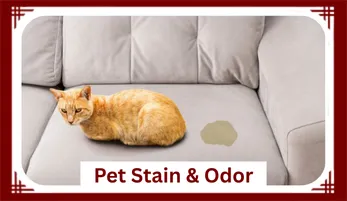 Pet Stain & Odor Cleaning